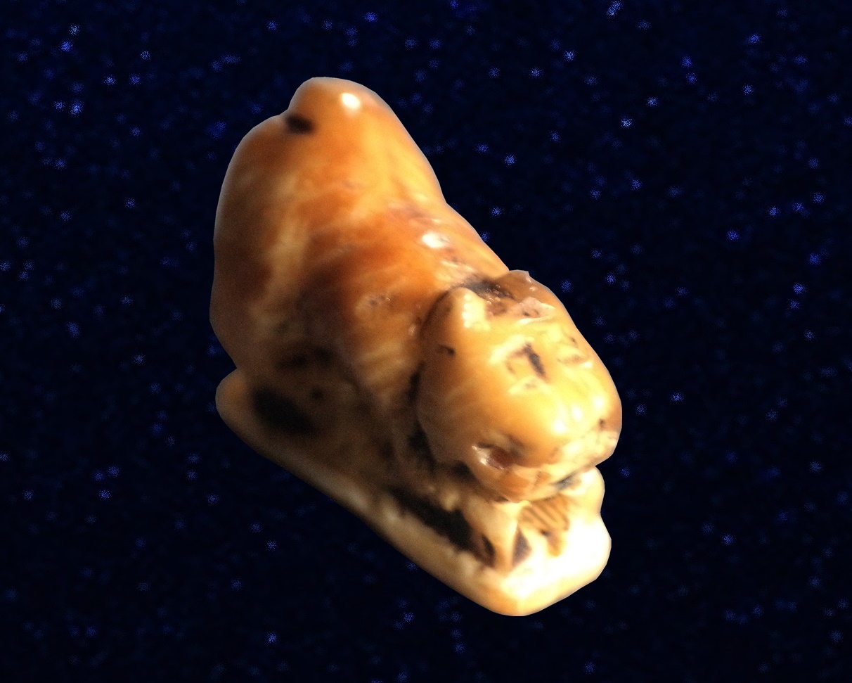 เสือ หลวงพ่อเฮง วัดเขาดิน นครสวรรค์