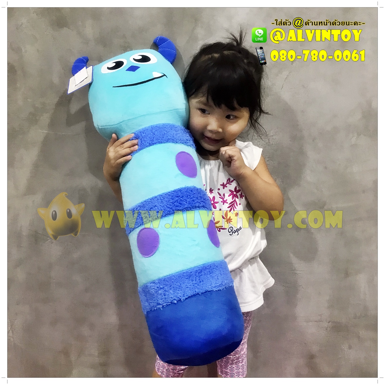 หมอนข้าง ซัลลี่