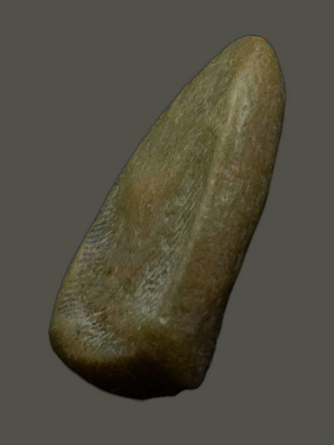 พระซุ้มกอ กรุลานดอกไม้ สุโขทัย เนื้อดิน