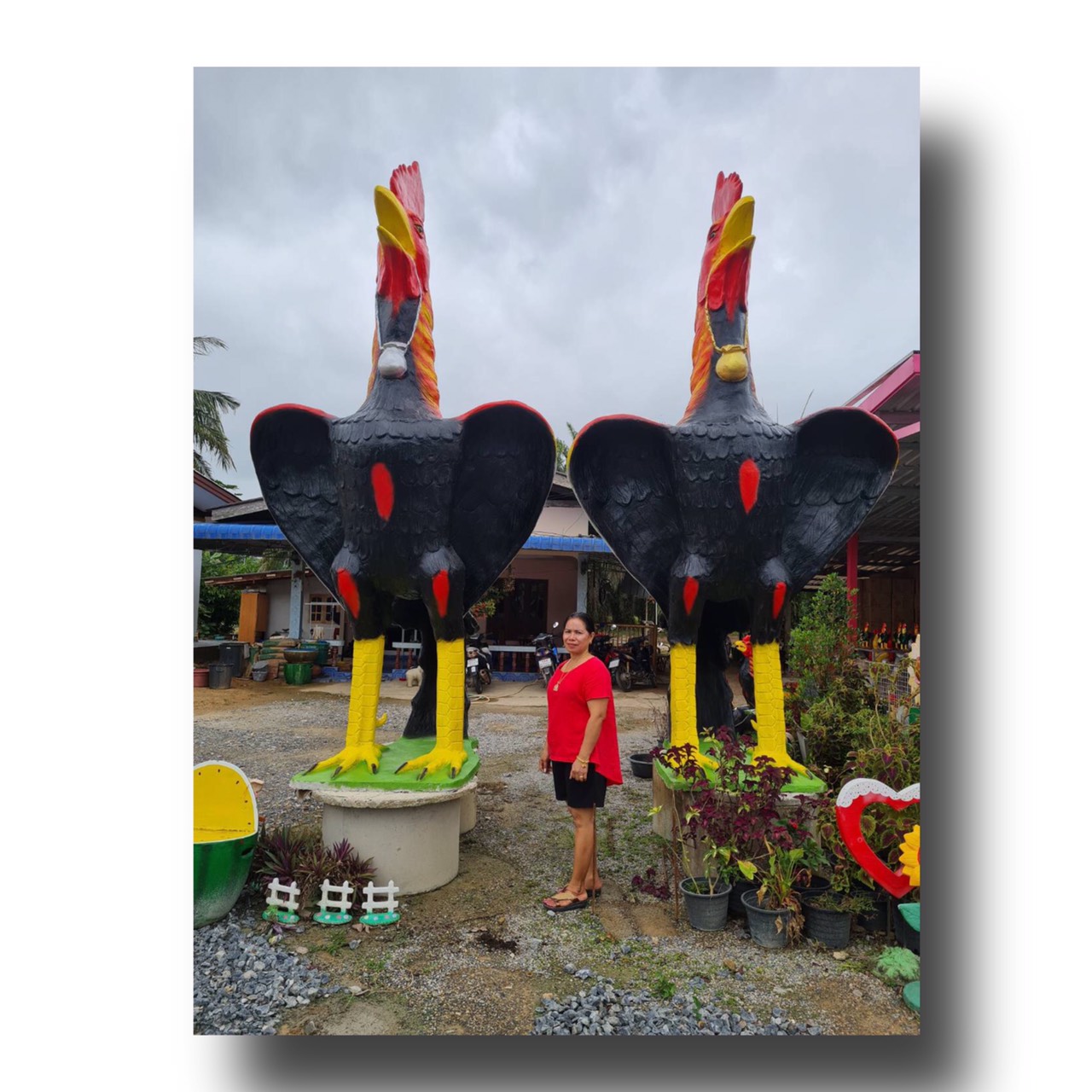 รูปปั้นไก่ชนแก้บนไซต์ยักษ์ขนาด4เมตร