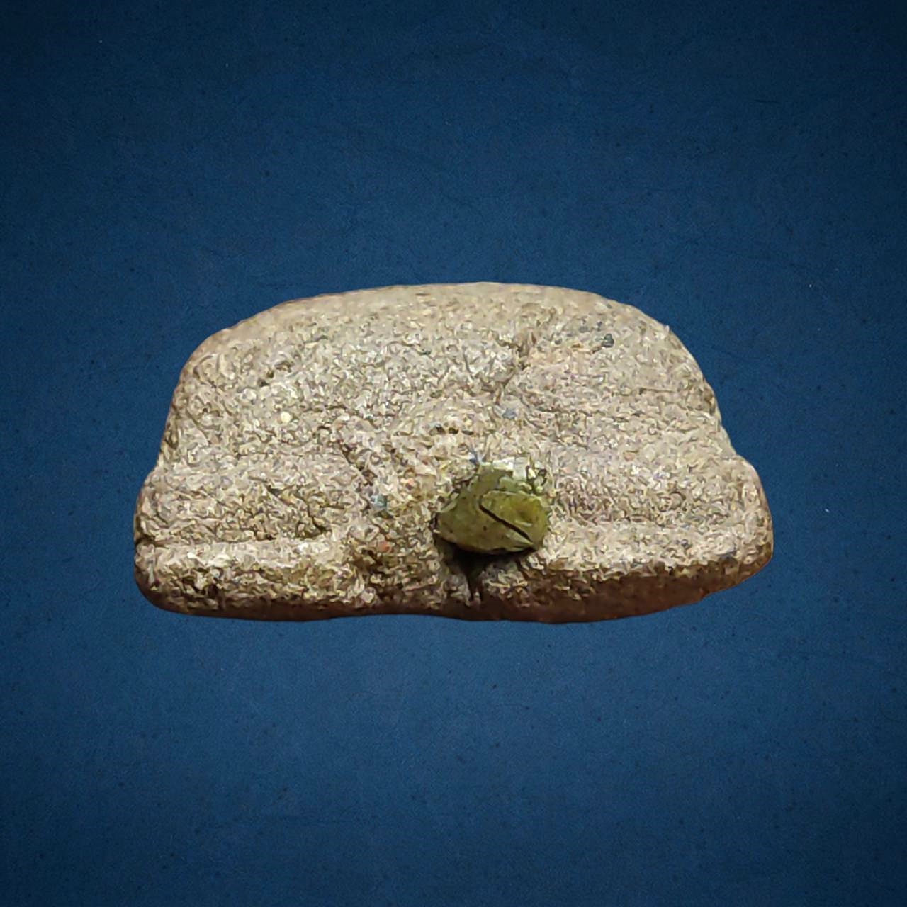 หลวงปู่ทวด เนื้อว่าน ฝังตะกรุด ไม่ทราบที่