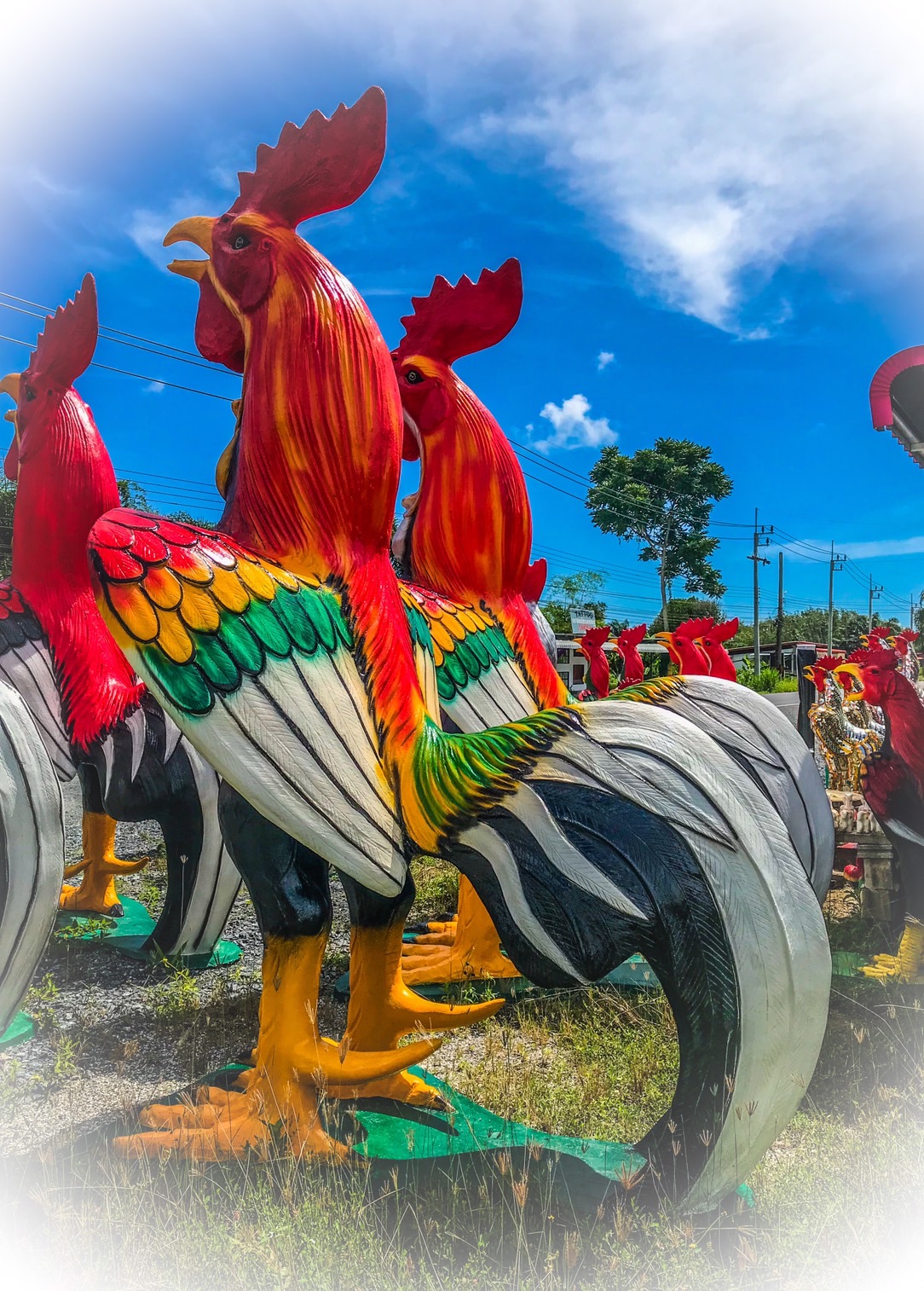 ไก่ปูนปั้นถวายแก้บน-ขอพรตาไข่วัดเจดีย์ ขนาด3.5 เมตร