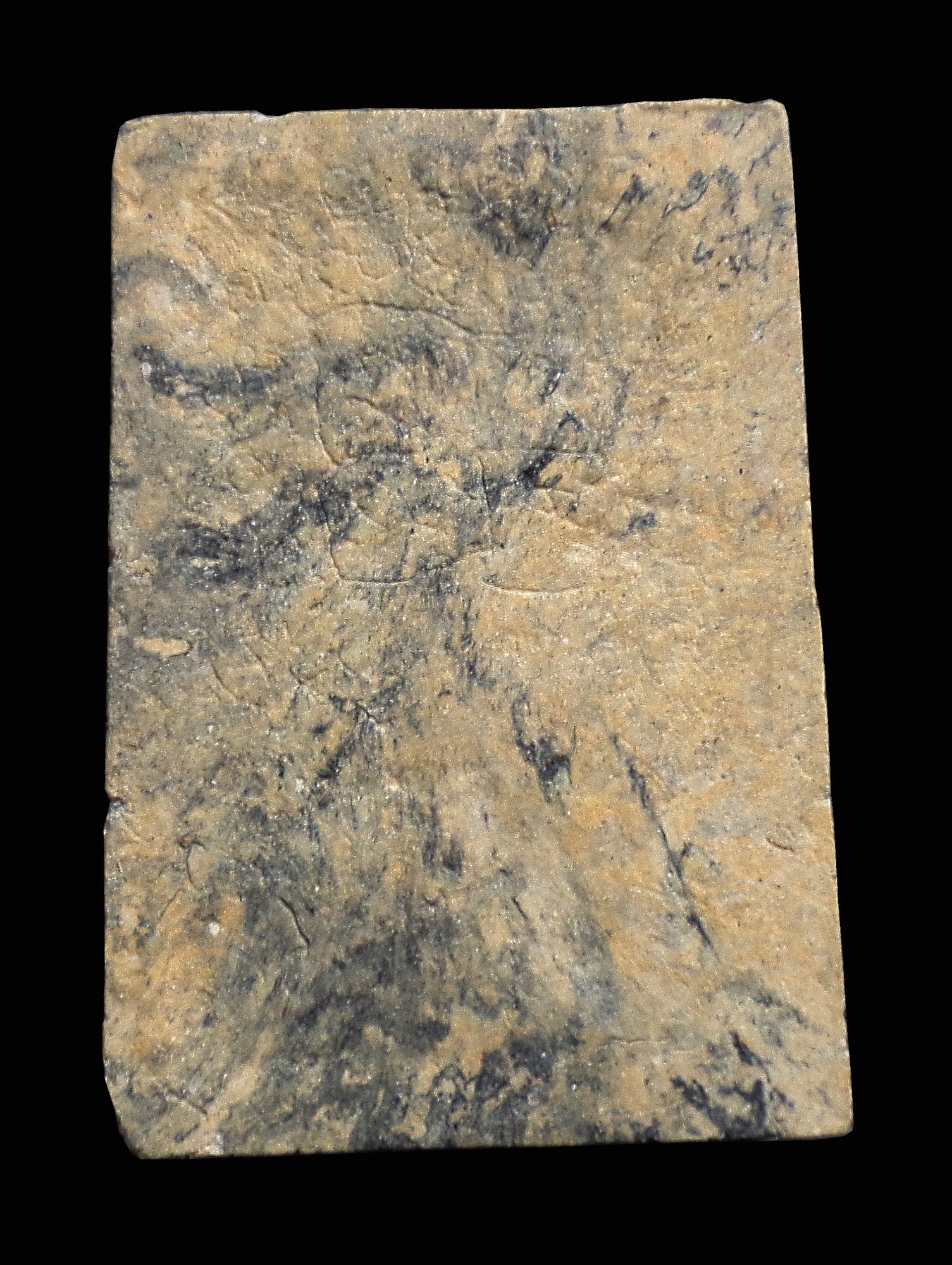 พระสมเด็จลายเสือ หลวงพ่อมุม วัดปราสาทเยอร์ จ.ศรีสะเกษ