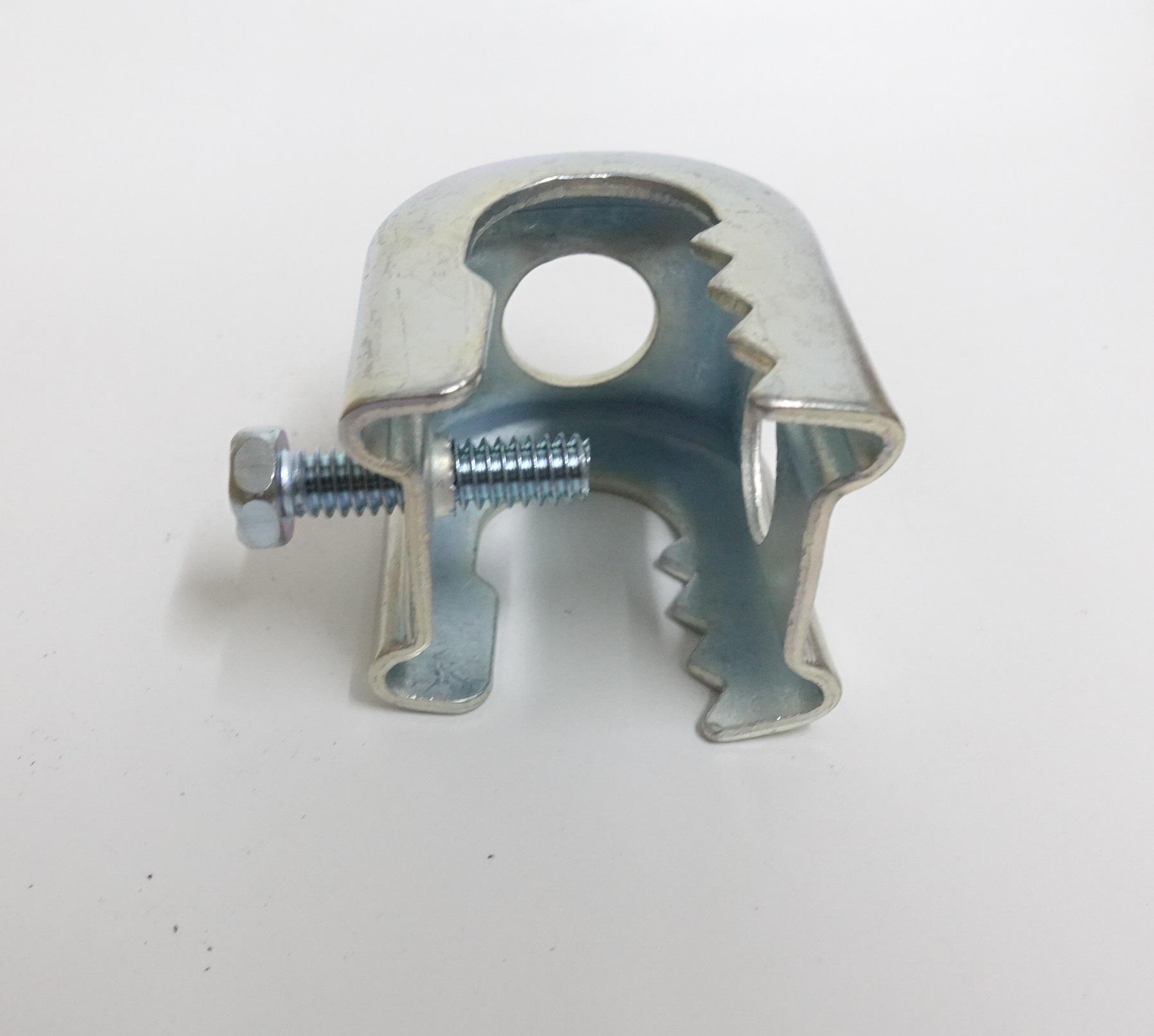 แคล้มวงเดือน / แคล้มฟันจรเข้