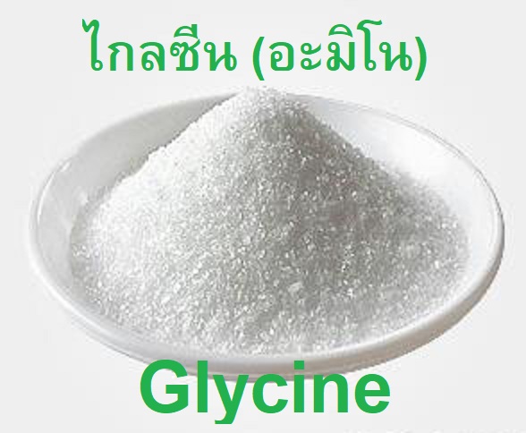 Glycine Amino Acid กรดอะมิโน ไกลซีน 99% ช่วยบำรุงตายอด ตาดอก บรรจุ 1 กิโลกรัม(R)