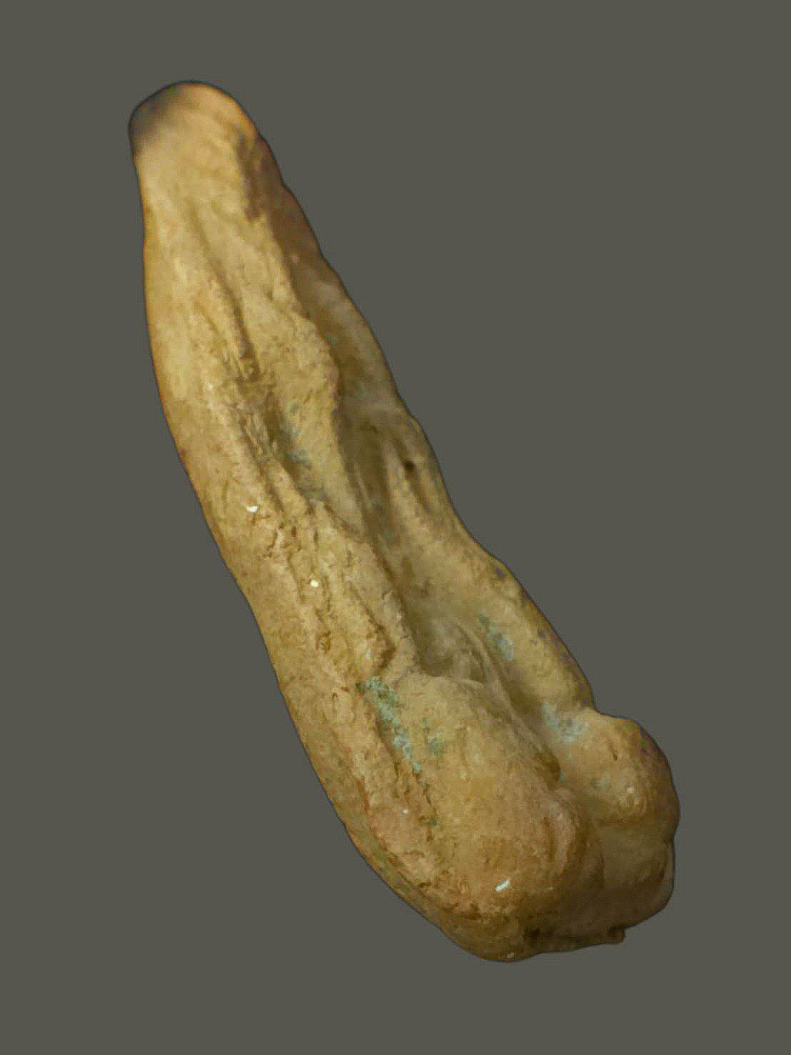 พระพิมพ์ปางป่าเลไลย์ หลังตรามหาพิชัยมงกุฎ เนื้อดิน หลวงพ่อถิร วัดป่าเลไลย์ จ.สุพรรณบุรี