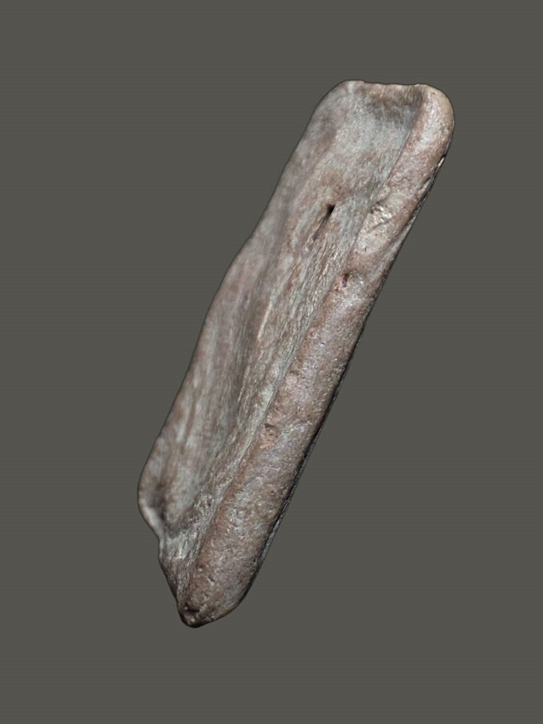 พระสมเด็จ พิมพ์ปรกโพธิ์ฐานแซม ไม่ทราบเกจิ เนื้อดิน