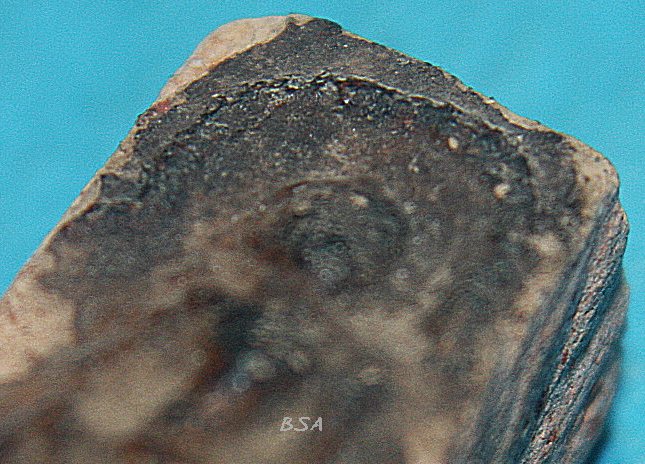 พระหัวใจกำแพง แผงตัดเดี่ยว กำแพงเพชร