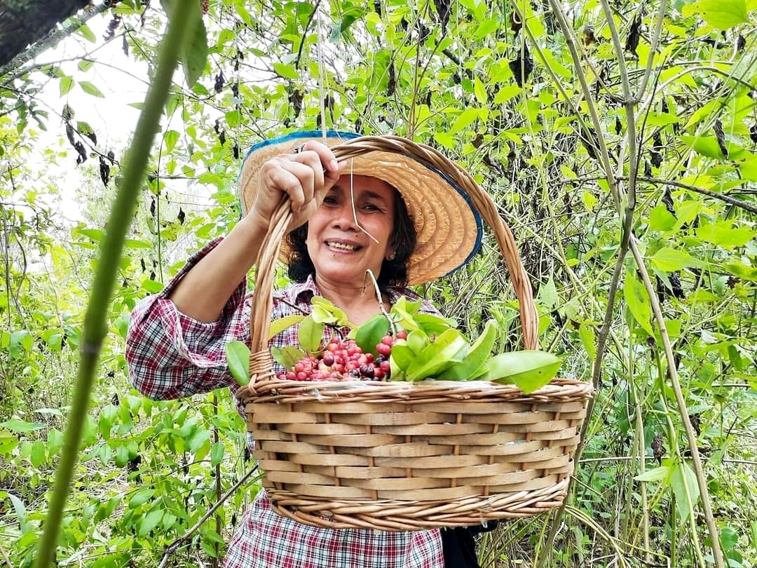 หมากเม่าไวน์ราคา B2B/ขายส่ง มีโปรโมชั่นบริการส่งตามความต้องการ(ราคานี้ไม่รวมค่าส่ง)