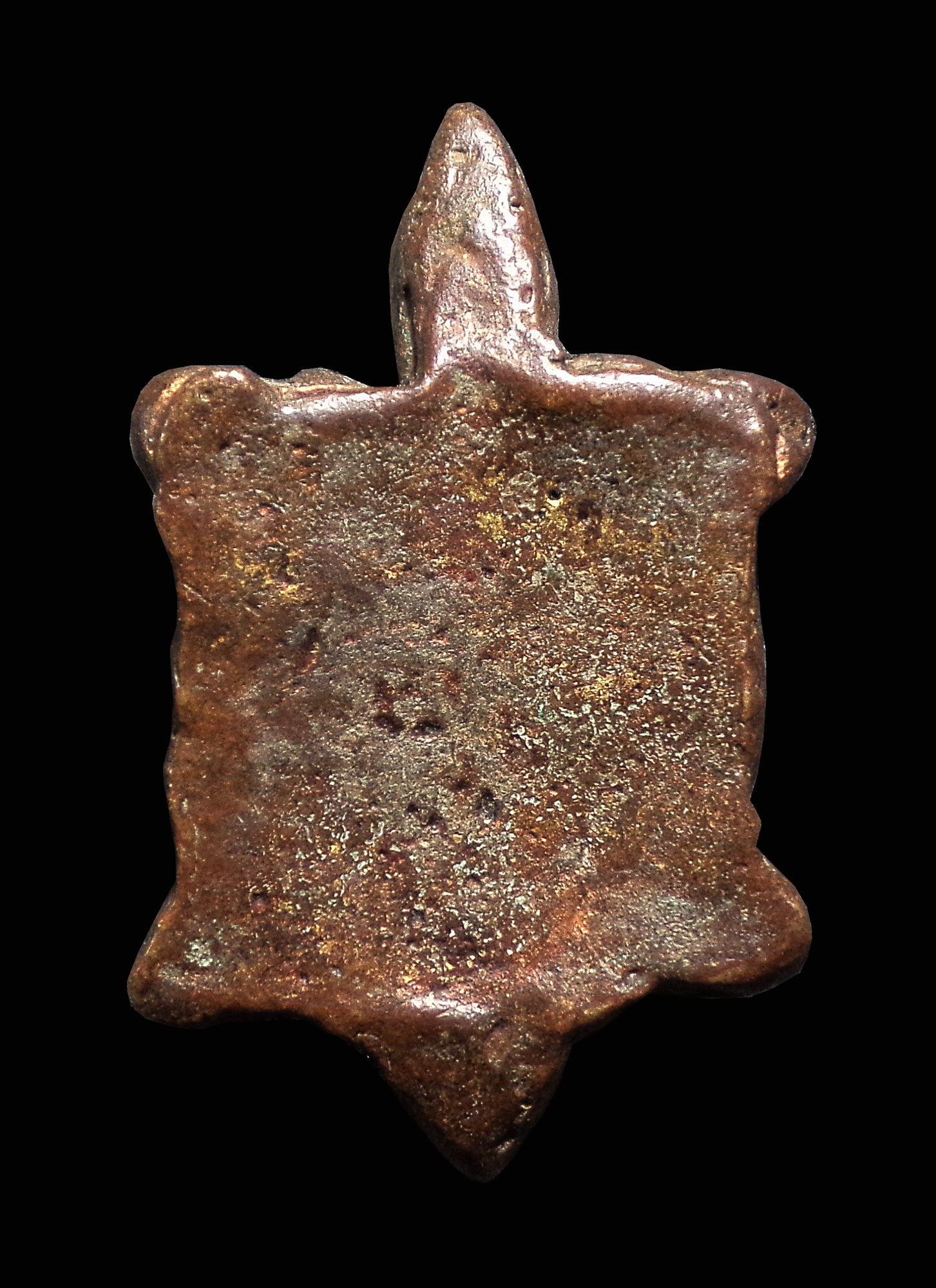 พญาเต่าเรือน เนื้อทองแดง ไม่ทราบที่