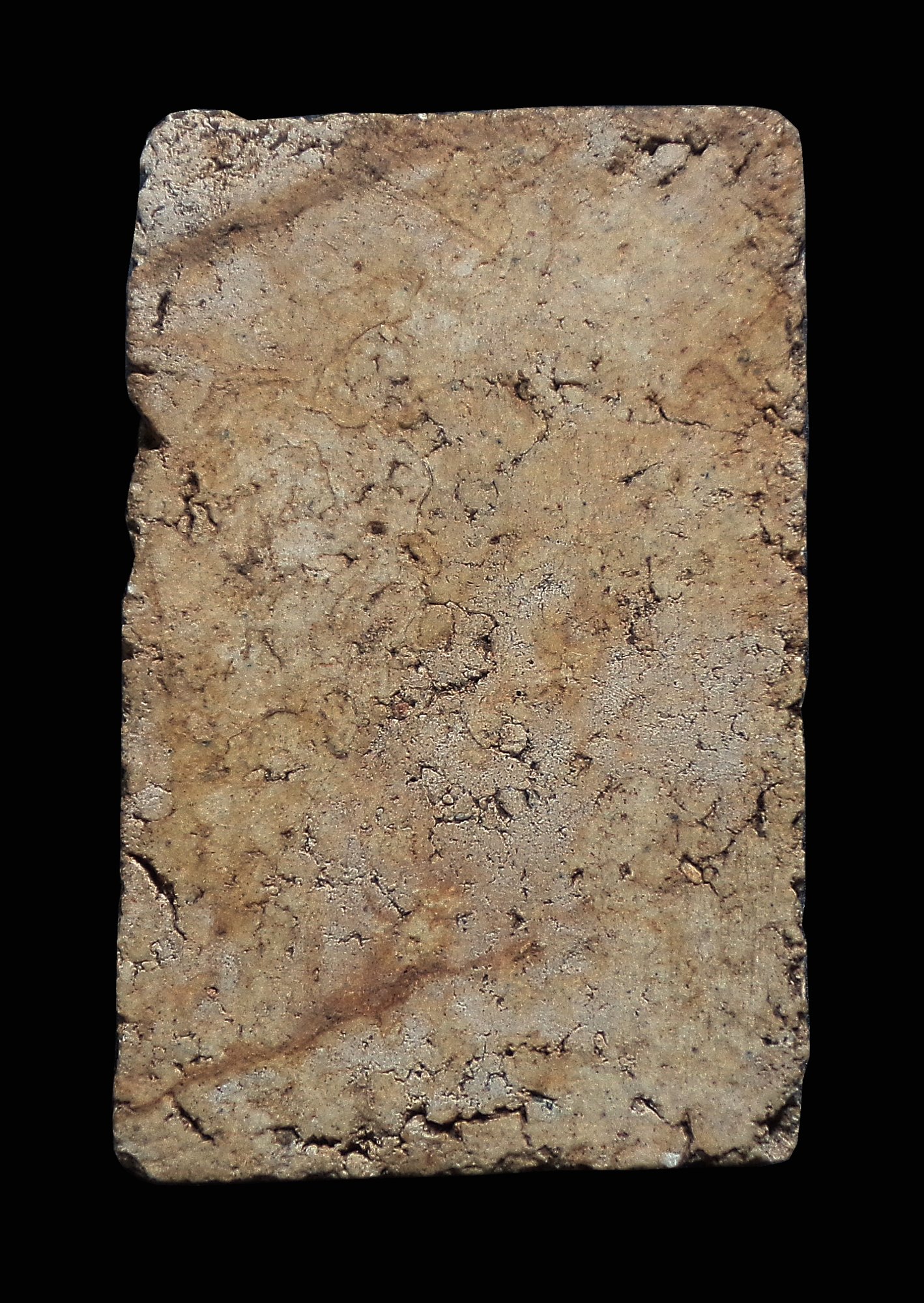 พระสมเด็จ พิมพ์ปรกโพธิ์