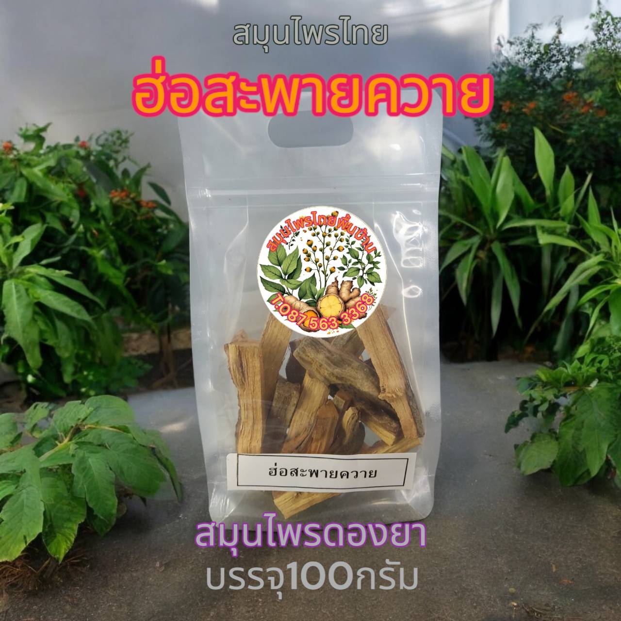 ฮ่อสะพายควาย สมุนไพรไทย