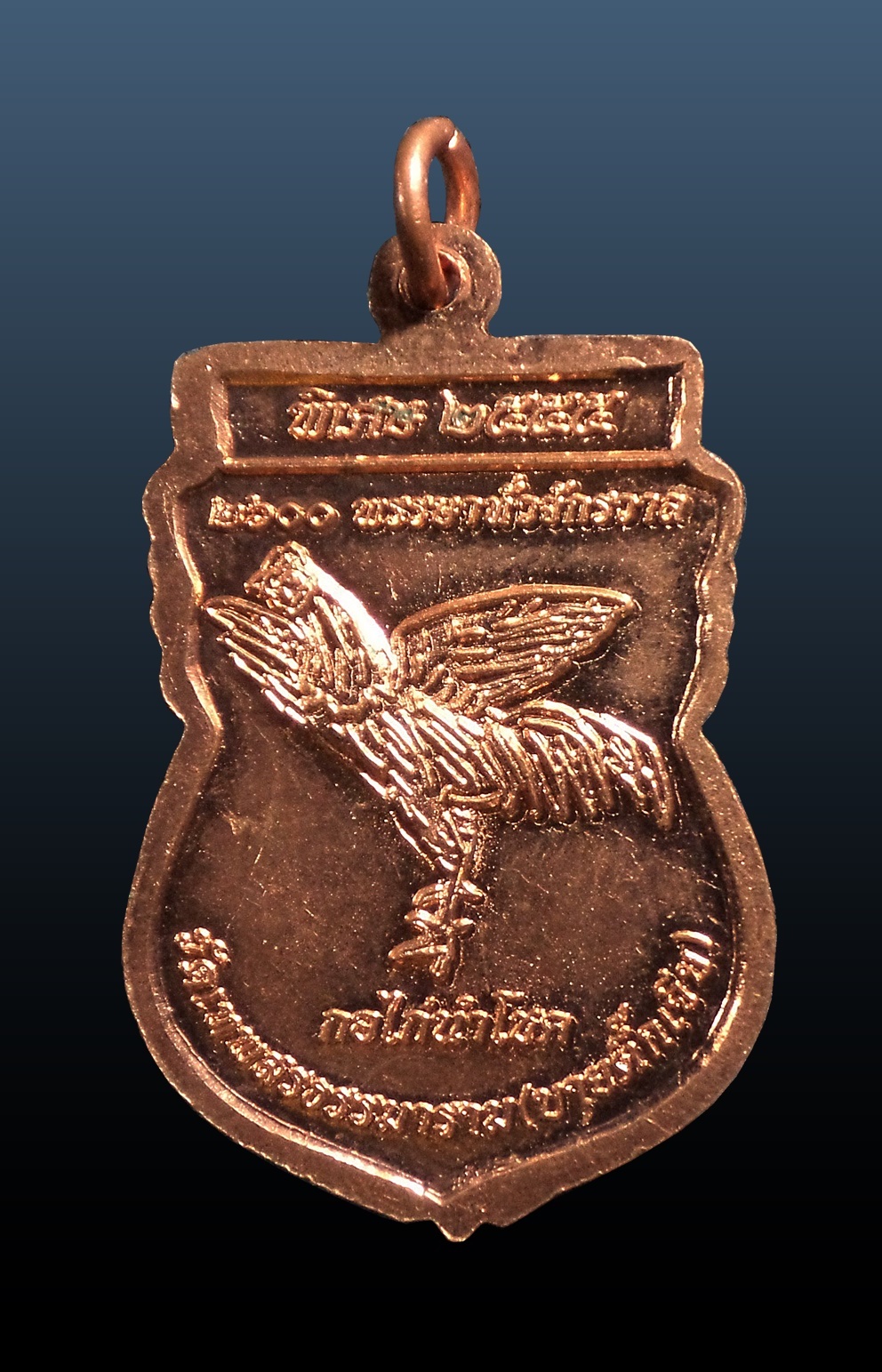 เหรียญกอไก่นำโชค หลวงปู่สรวง ศรีสะเกษ ปี2555