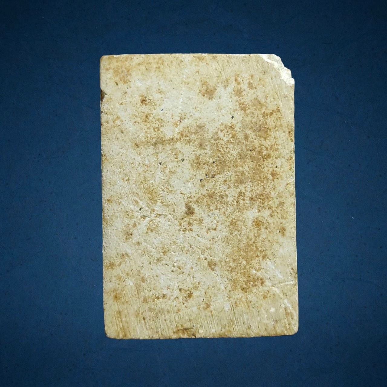 สมเด็จปรกโพธิ์21ใบ พิมพ์ต้อ เนื้อผง หลวงพ่อกวย วัดโฆสิตาราม จ.ชัยนาท ปี2515-2519