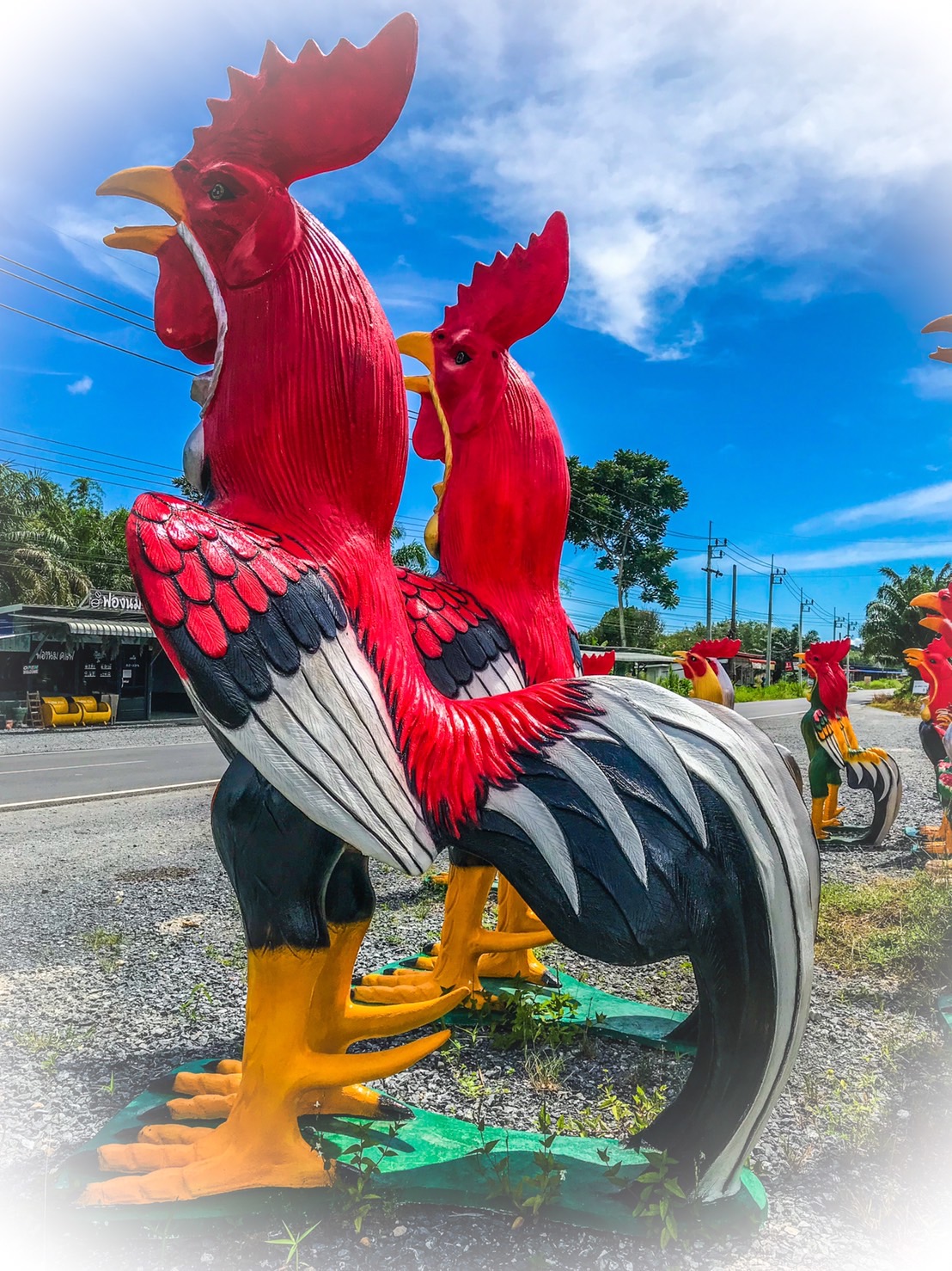 ไก่ปูนปั้นถวายแก้บน-ขอพรตาไข่วัดเจดีย์ ขนาด3.5 เมตร