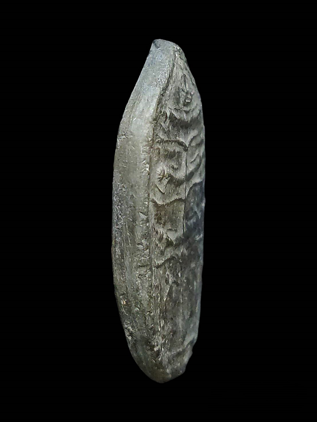 พระพิมพ์มหาปาฏิหาริย์ หลวงพ่ออนันต์ วัดดอนมะเกลือ สุพรรณบุรี ปี2475 เนื้อดินยุคต้น