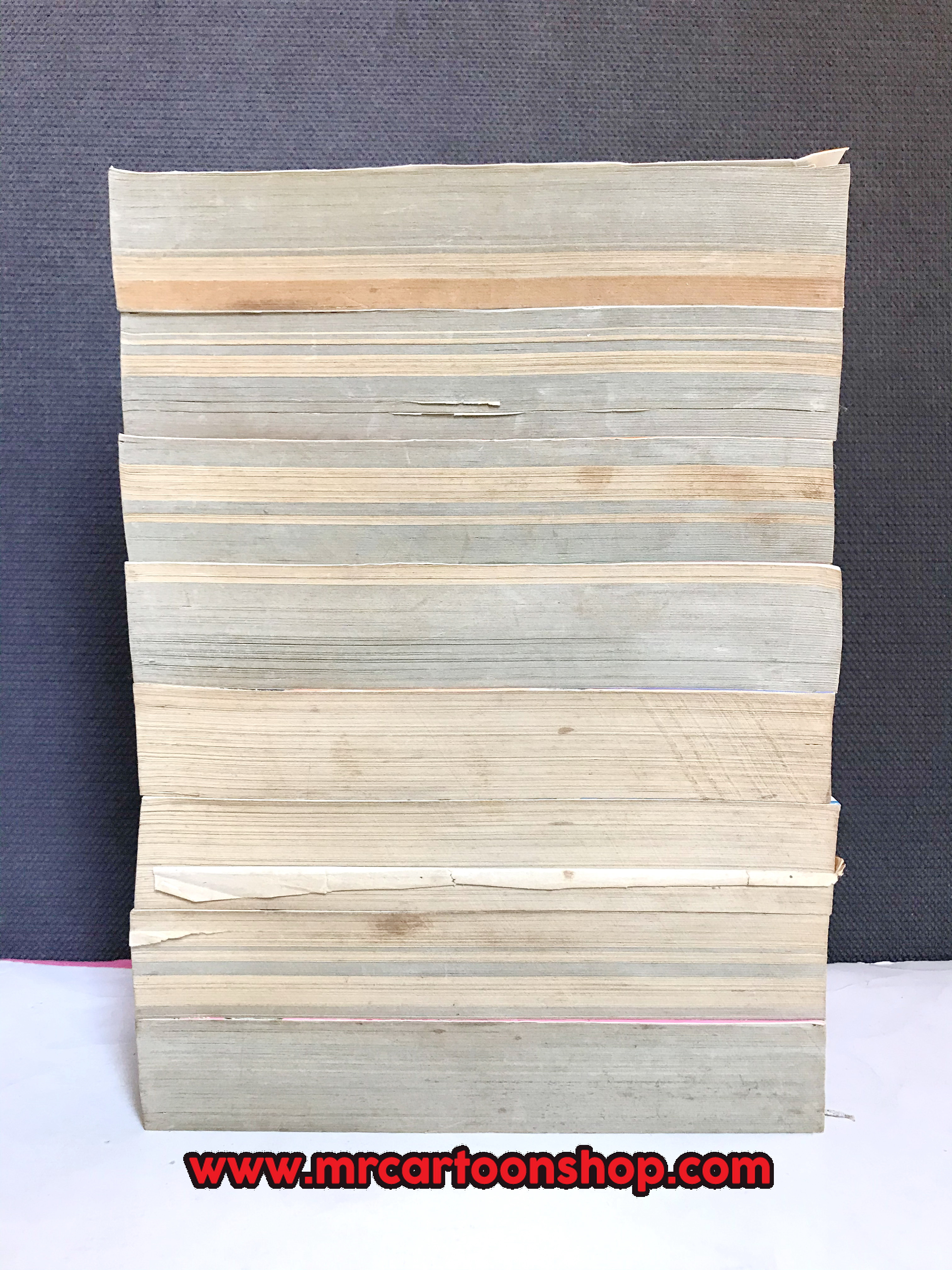 เทปเป้ ไอ้ตัวแสบ 8 เล่มจบ