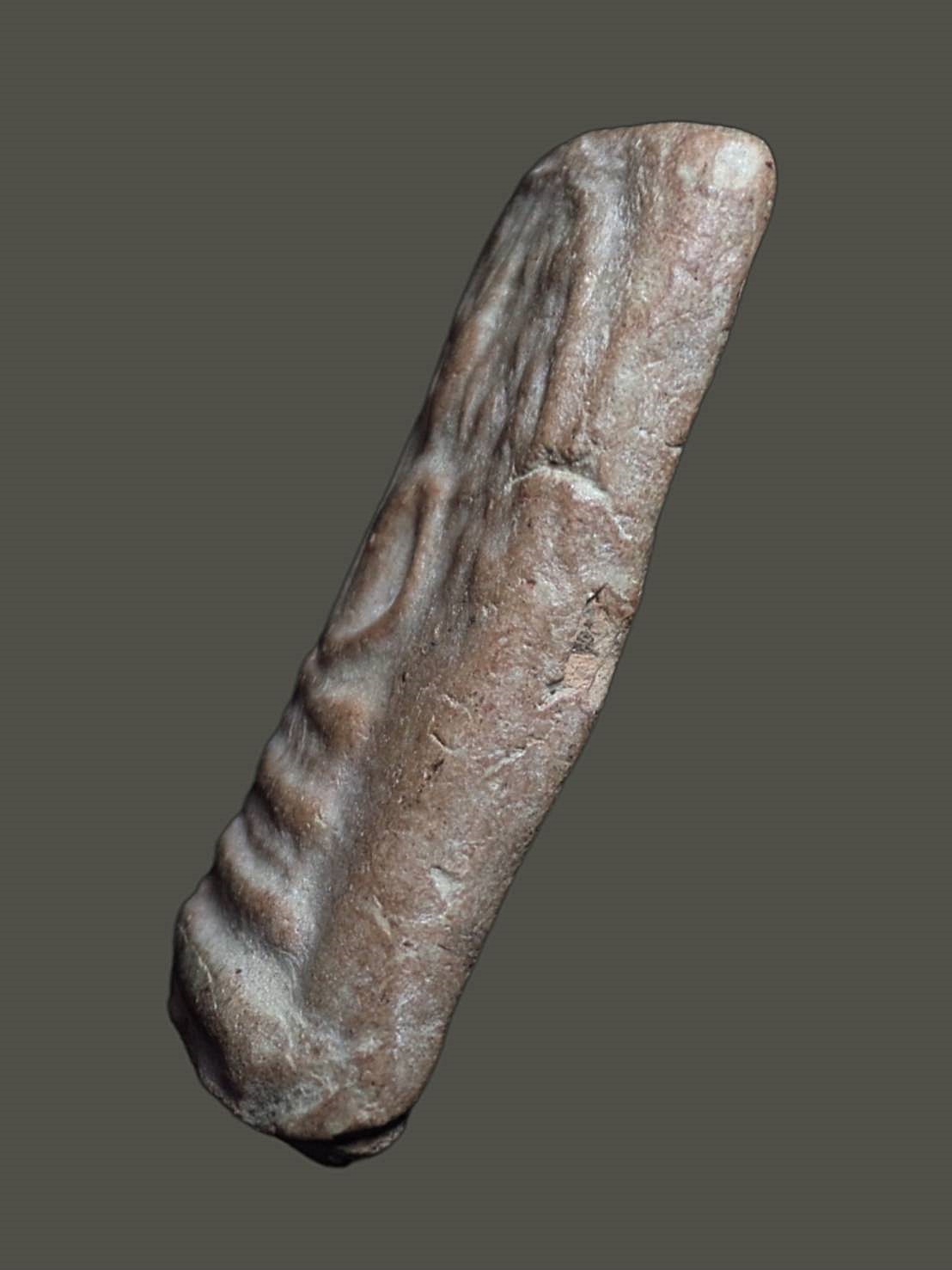 พระสมเด็จ พิมพ์ปรกโพธิ์ฐานแซม ไม่ทราบเกจิ เนื้อดิน