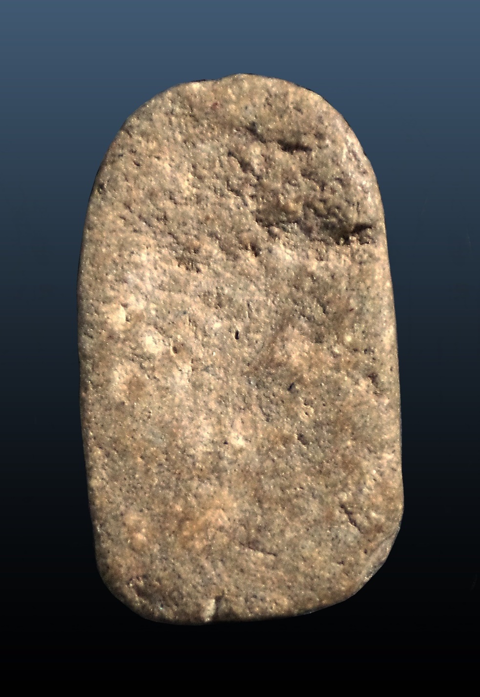 พระนาคปรก เนื้อผงพุทธคุณ