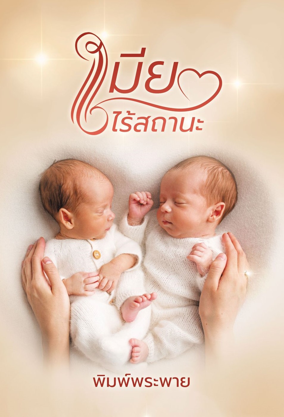 เมียไร้สถานะ (NC25+) / พิมพ์พระพาย ( ทำมือ ใหม่. แถมฟรีปกพลาสติกใส )