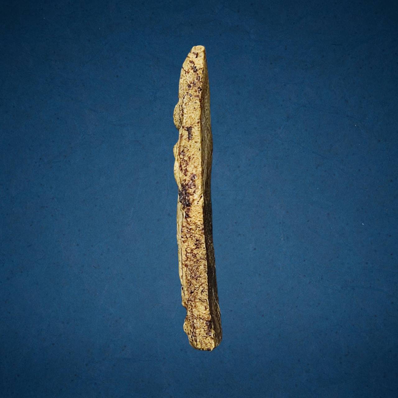 พระลีลา หลวงพ่อขัน วัดนกกระจาบ อยุธยา เนื้อผง