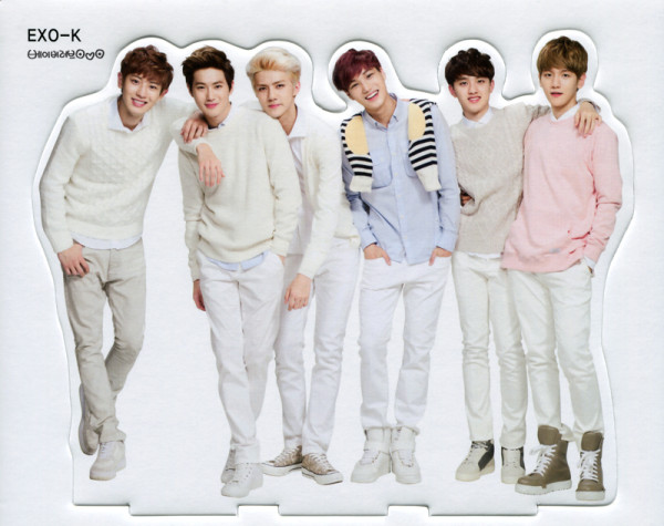 ( Pre-Order ) Nature Republic Post-It Standee EXO K