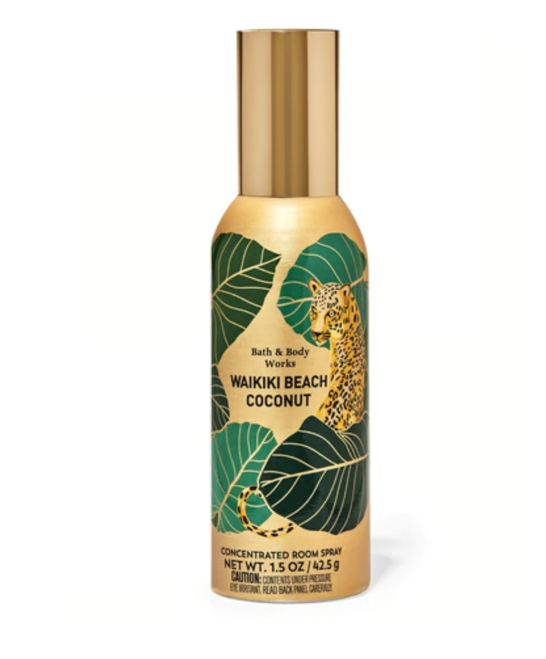 Waikiki Beach Coconut