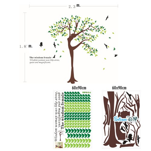 BigSize Transparent Wall Sticker สติ๊กเกอร์ติดผนัง The Wisdom Female (กว้าง230cm.xสูง180cm.)