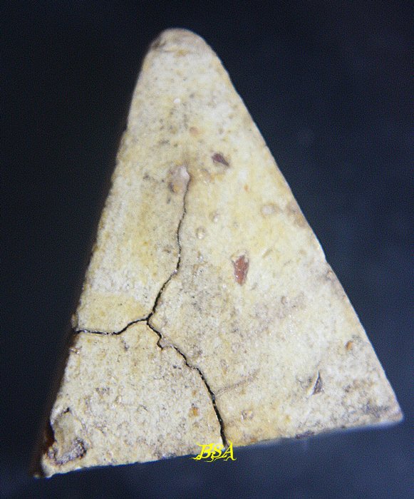 พระเนื้อผงน้ำมัน ไม่ทราบที่