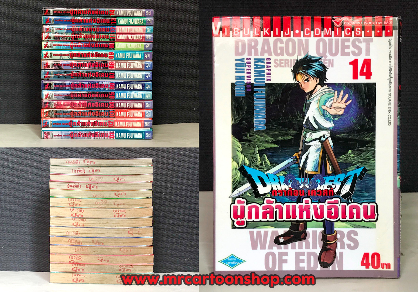 Dragon Quest ภาคอีเดน 1-14 จบ