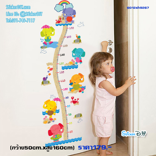 Transparent Wall Sticker สติ๊กเกอร์ติดผนัง วัดส่วนสูง Elephant XH9267 (กว้าง50cm.xสูง160cm)