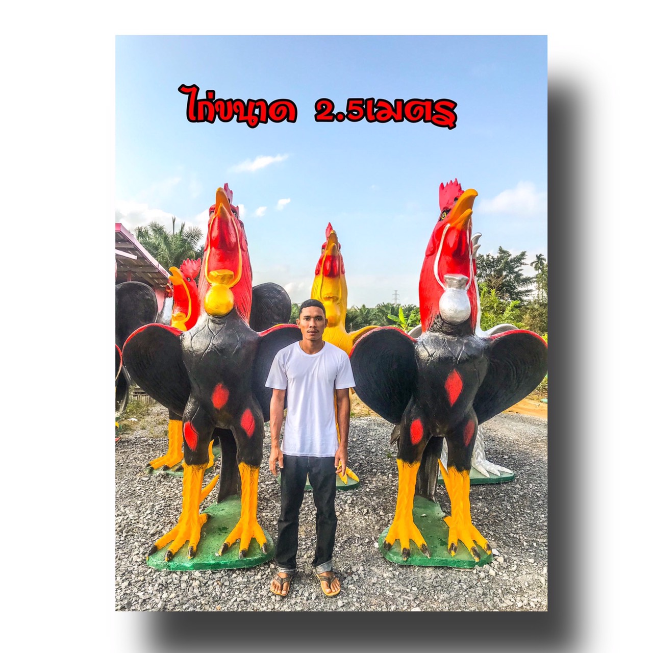 ไก่ปูนปั้นแก้บนตาไข่ที่วัดเจดีย์ ขนาด2.5เมตร