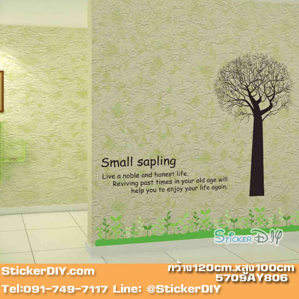 Transparent Wall sticker สติ๊กเกอร์ติดผนัง Small sapling (กว้าง120cm.xสูง100cm.)