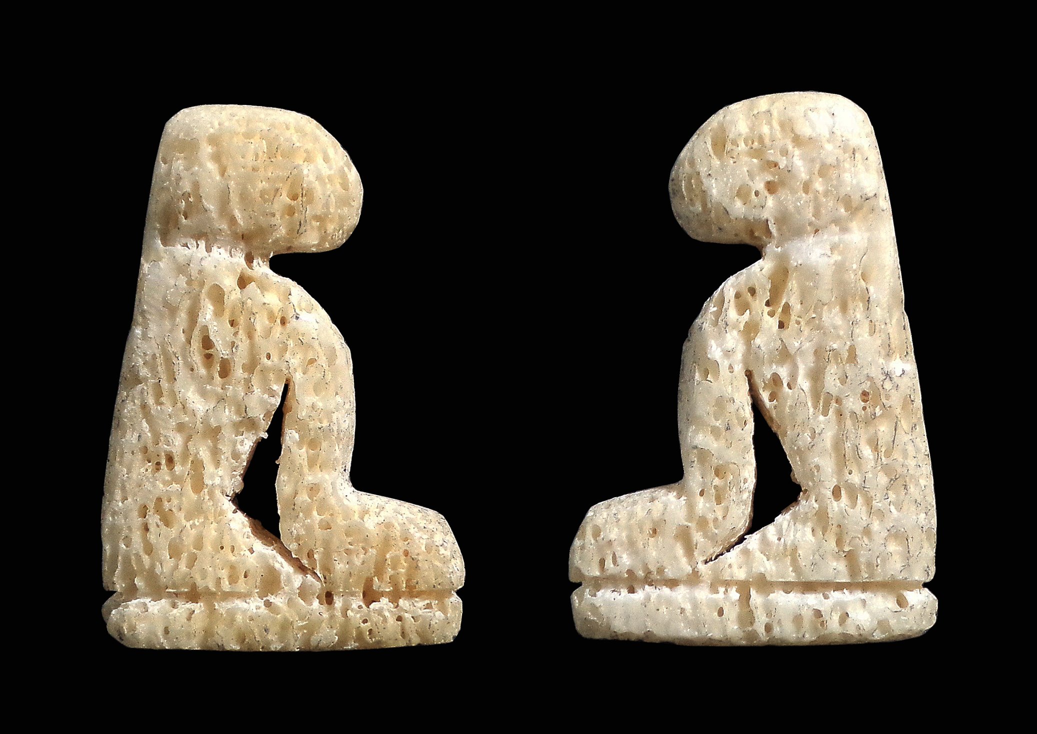 เสือ กรามช้างน้ำแกะ ไม่ทราบที่