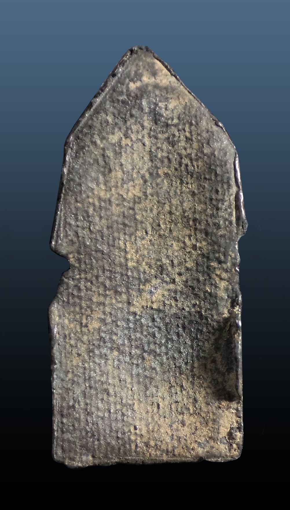 พระนาคปรก เนื้อชิน