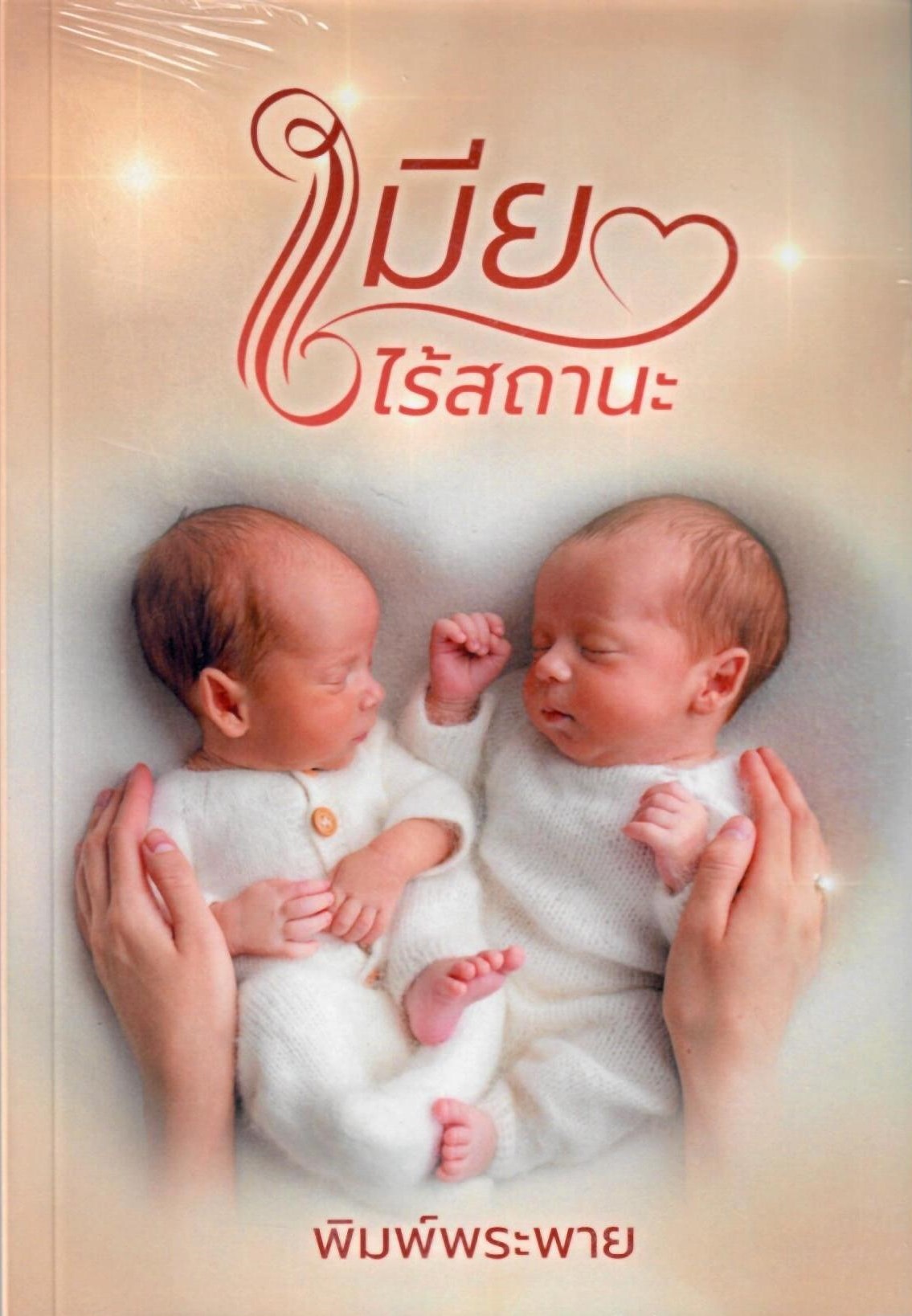 เมียไร้สถานะ (NC25+) / พิมพ์พระพาย ( ทำมือ ใหม่. แถมฟรีปกพลาสติกใส )