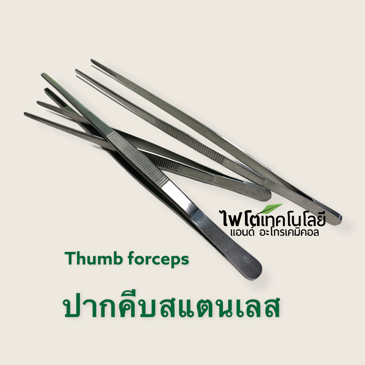 Thumb (Dressing) Forceps ปากคีบสแตนเลส ยี่ห้อ Golrah ความยาว 14.5 ซม.