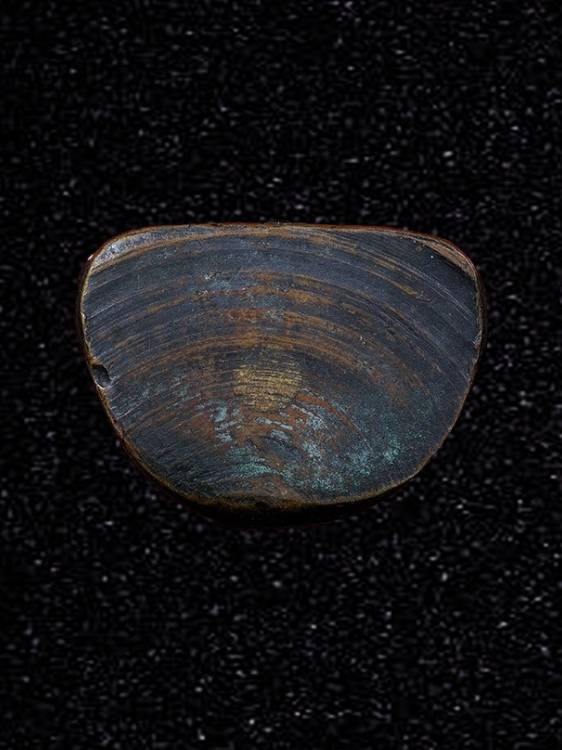 รูปหล่อโบราณ รุ่น2 หลวงพ่อก้อย วัดมหาเจดีย์ ฉะเชิงเทรา ปี2502