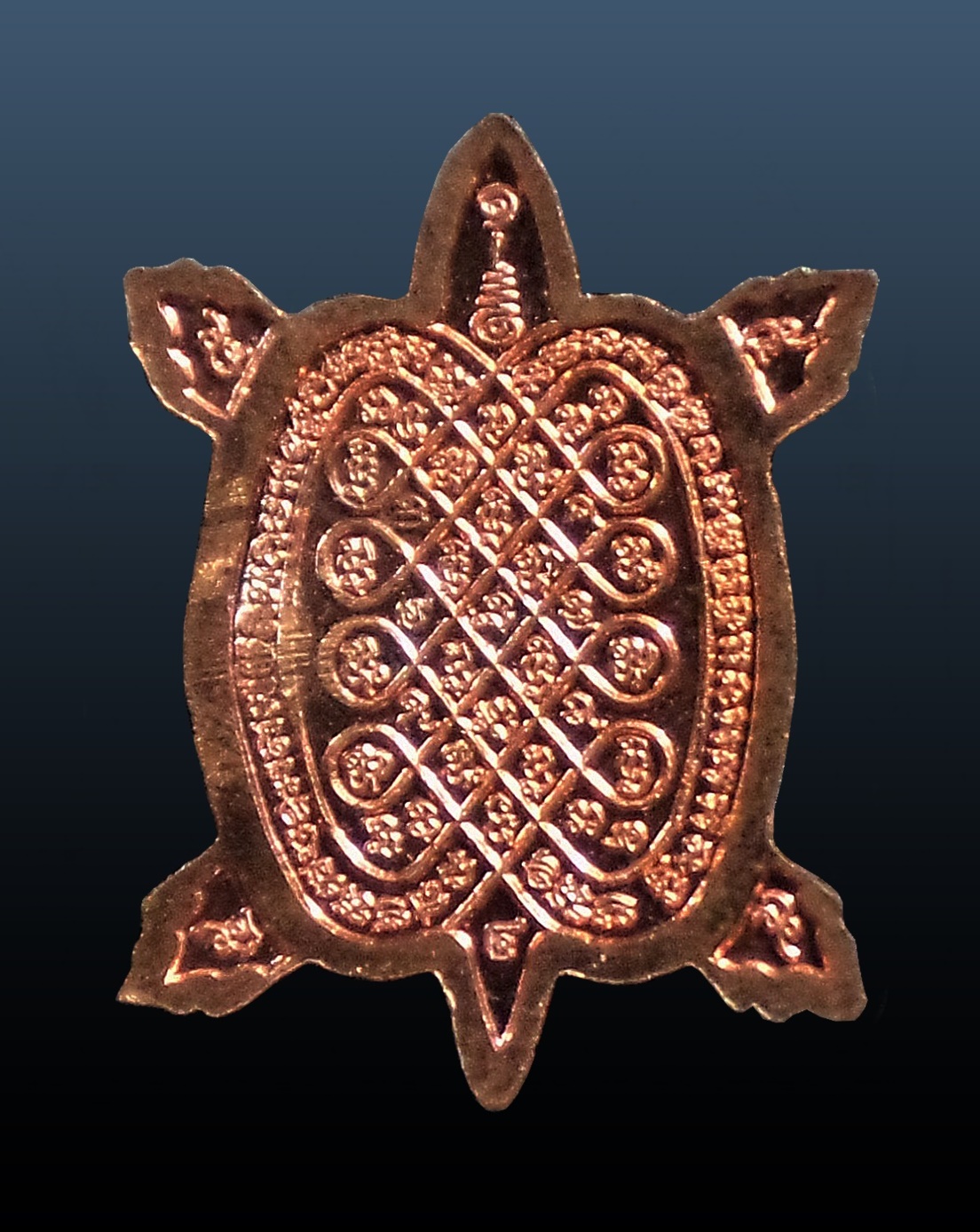 เหรียญพญาเต่าจิ๋ว หลวงปู่แผ้ว วัดรางหมัน นครปฐม (1)