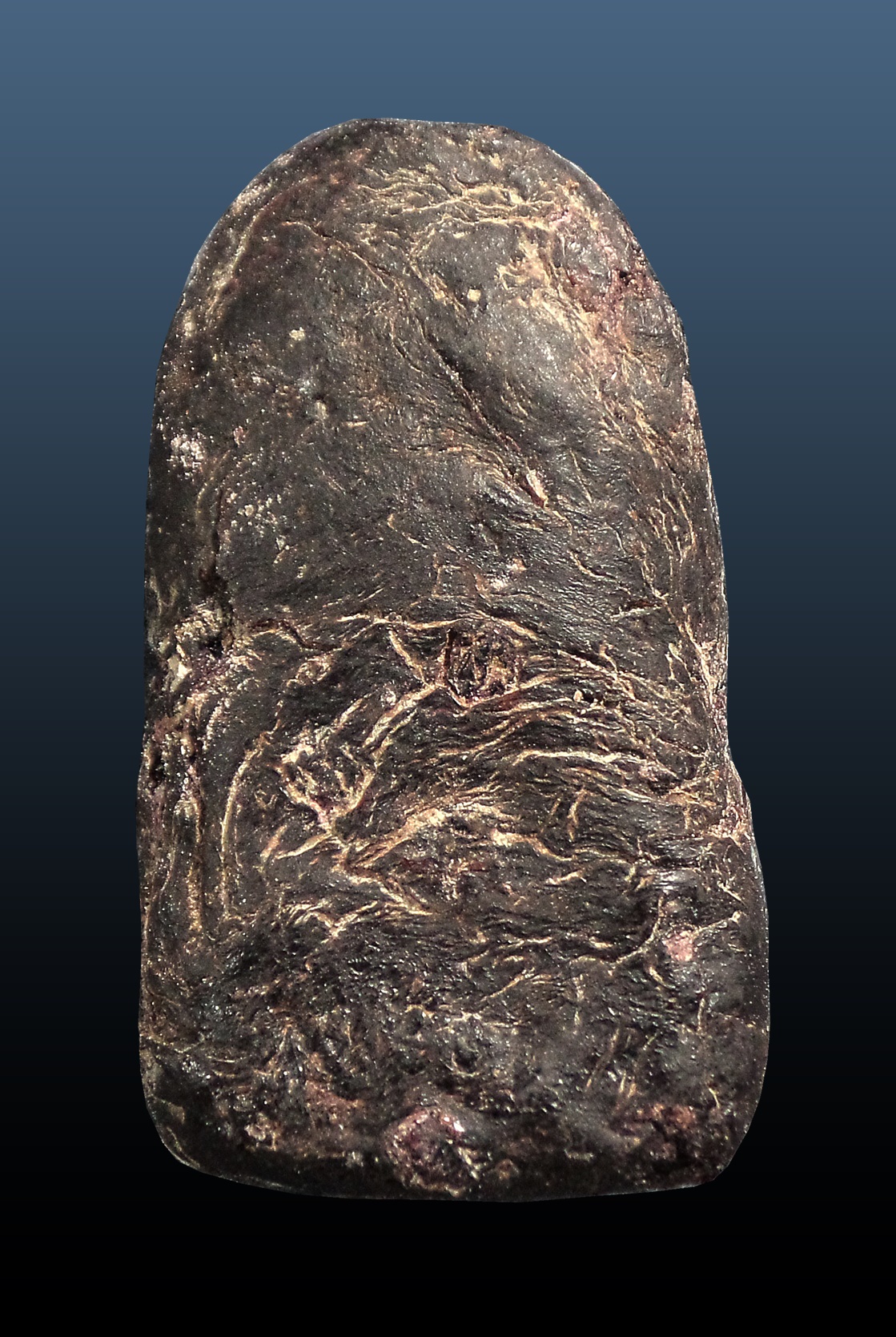 พระเกศาครูบาศรีวิชัย พิมพ์พระคง เนื้อครั่ง มีเกศา พิมพ์พระคง