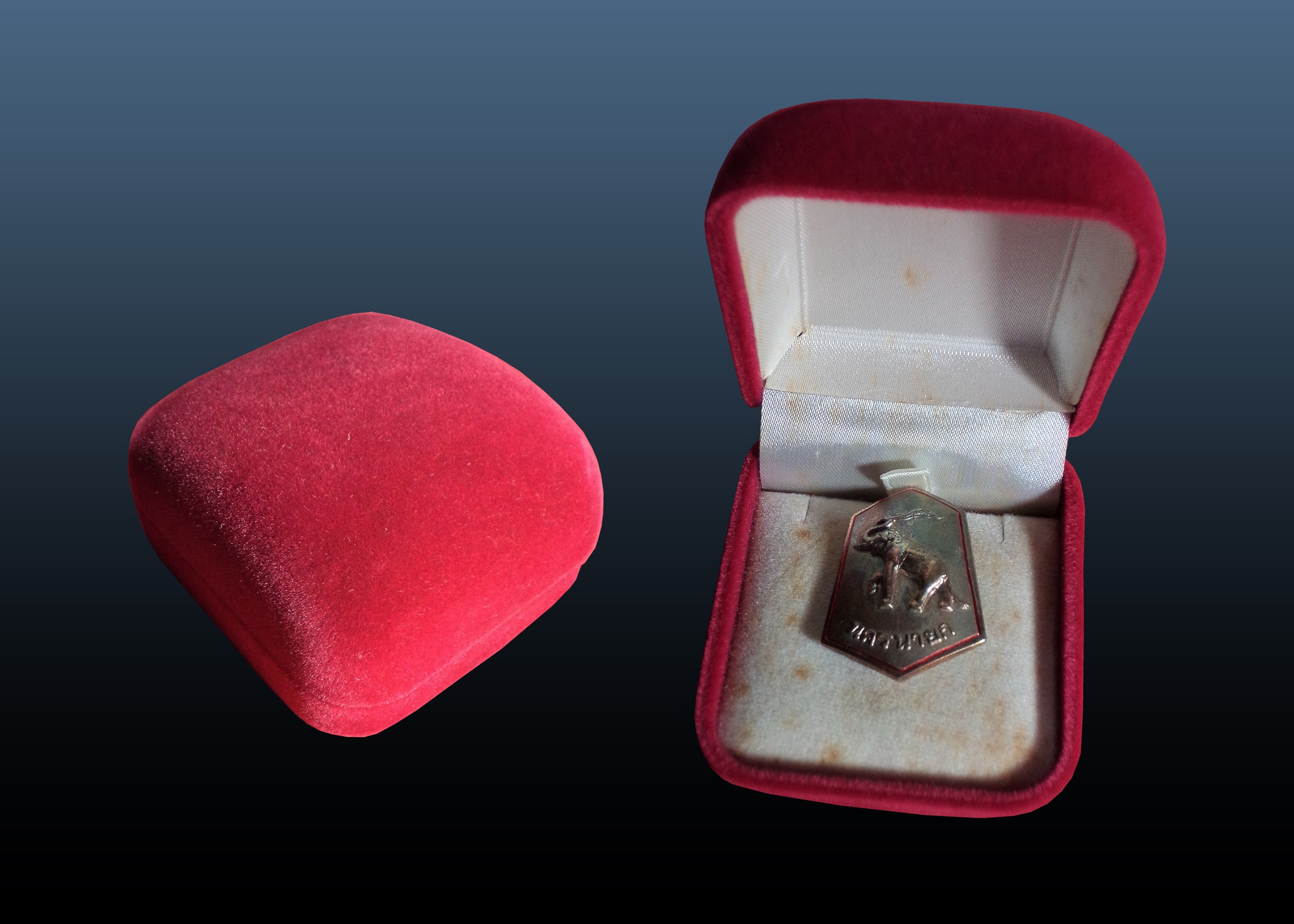 เข็มกลัด ช้างชูงวงรวงข้าว ตราสัญลักษณ์จังหวัด “นครนายก” เก่า