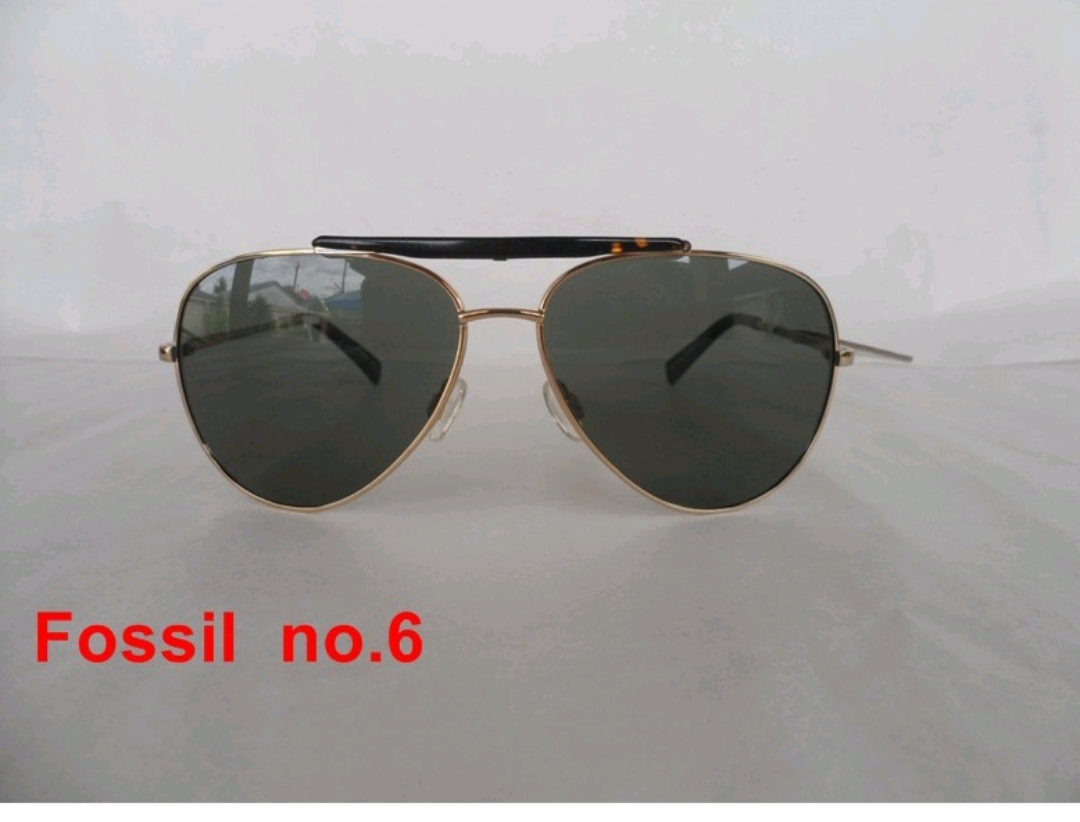 Fosiil No.6