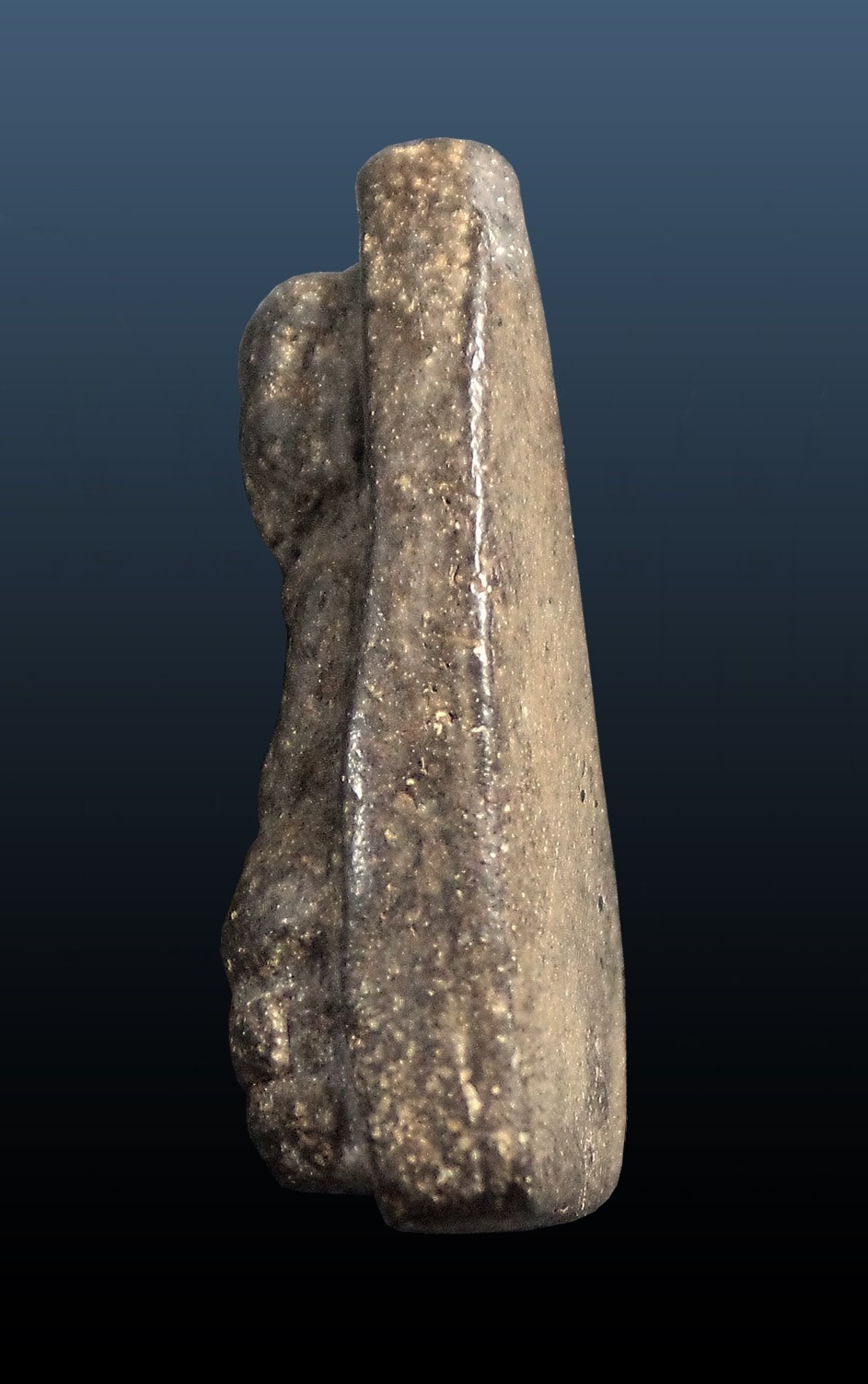 หลวงพ่อทวด เนื้อว่าน พิมพ์ใหญ่ วัดช้างให้ ปัตตานี ปี2497