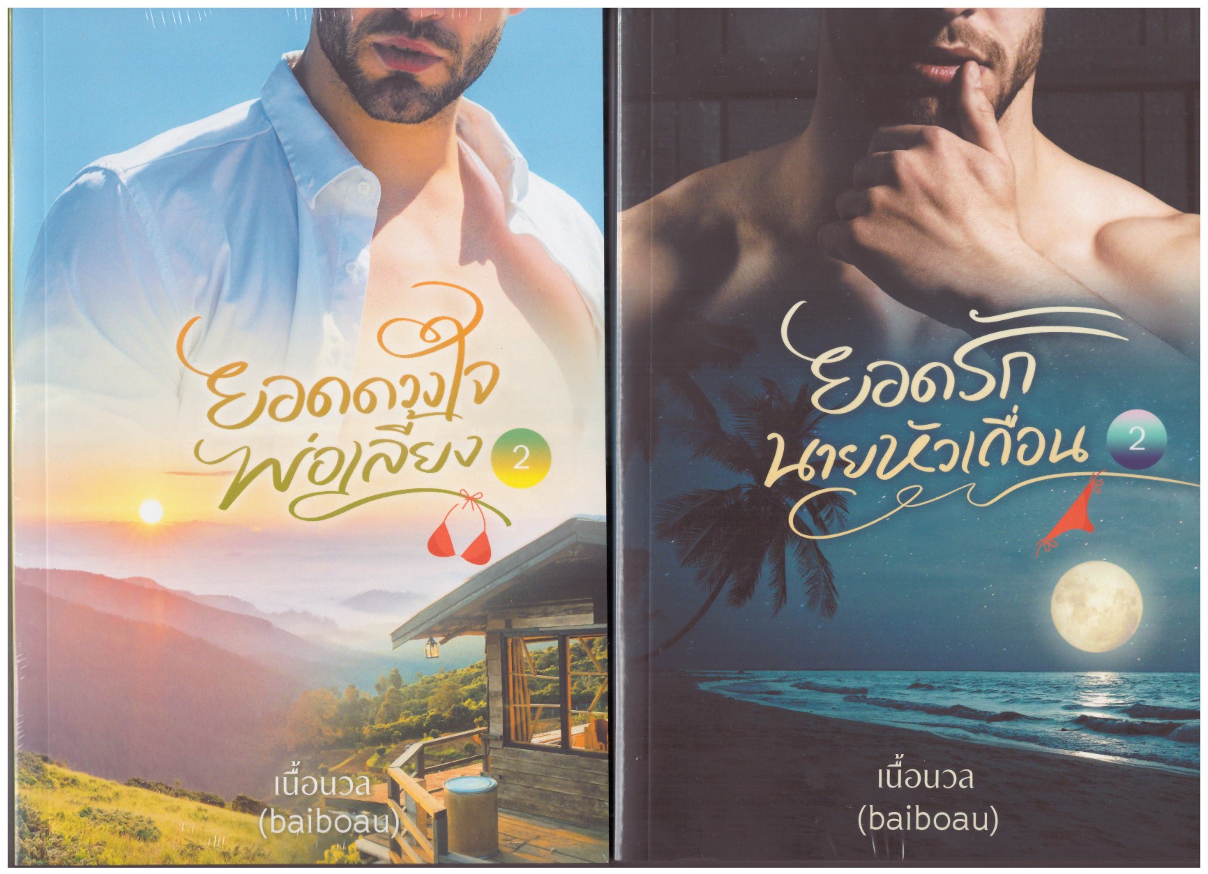 นิยายชุดยอดดวงใจพ่อเลี้ยง เล่ม 2 และ ยอดรักนายหัวเถื่อน เล่ม 2 (มี 3 เรื่องสั้น) รวม 2 เล่ม(NC18+) / เนื้อนวล Baiboau (ทำมือ – ใหม่ แถมฟรีปกพลาสติกใส )