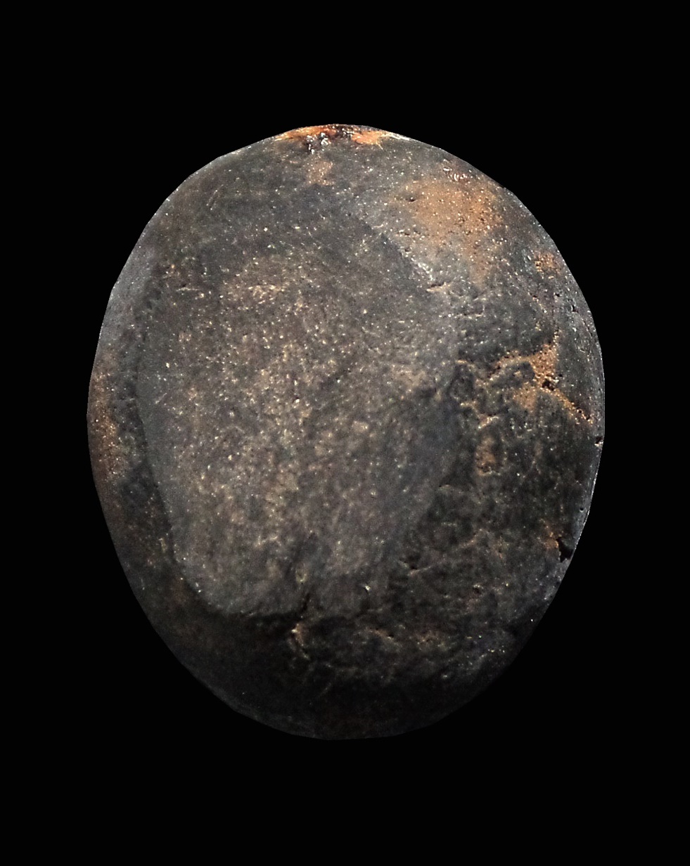 พญาเต่าเรือน เนื้อผงคลุกรัก