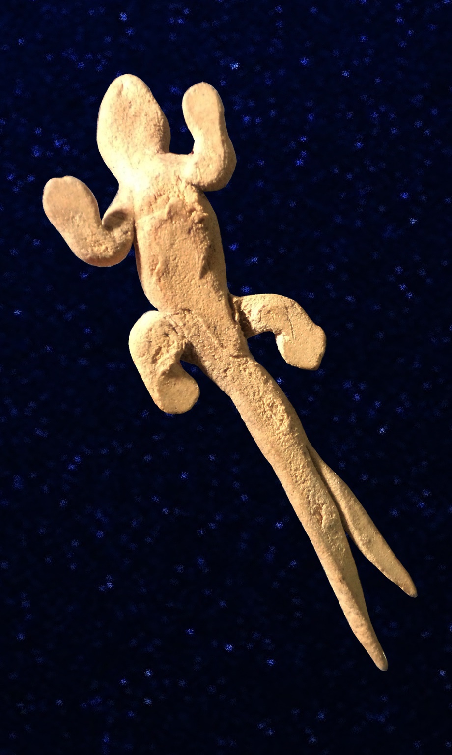 จิ้งจก2หาง เนื้อว่านดอกทอง มหาเสน่ห์ มหาลาภ