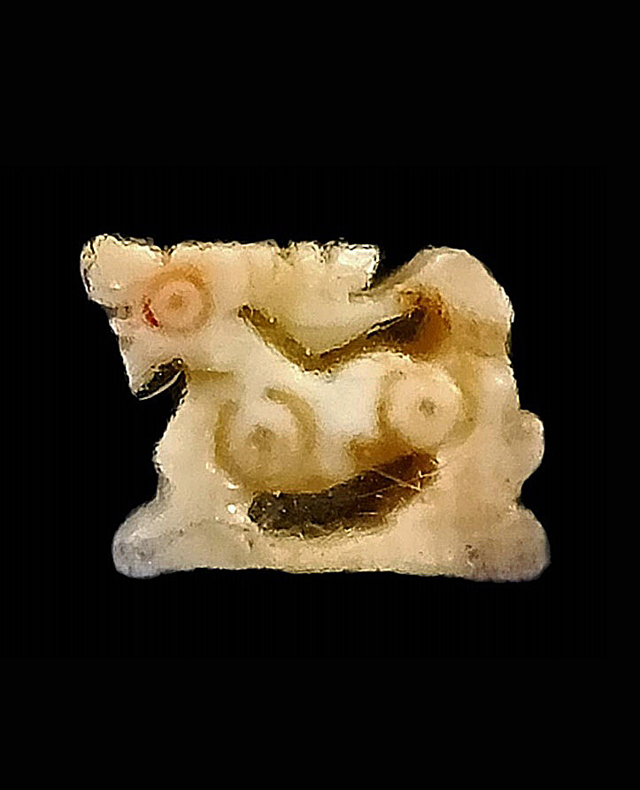 สิงห์ 2 ขวัญ หลวงพ่อหอม วัดชากหมาก ระยอง