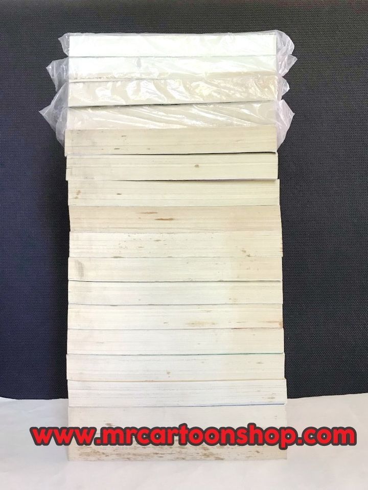 เปลวฟ้าผ่าปฐพี Bigbook 1-17 จบ