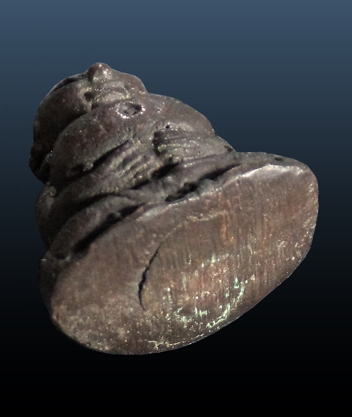 หล่อโบราณ พระสังกัจจายน์ ศิลปะเชียงแสน