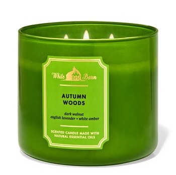 Autumn Woods